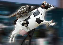 flyingcow.jpg